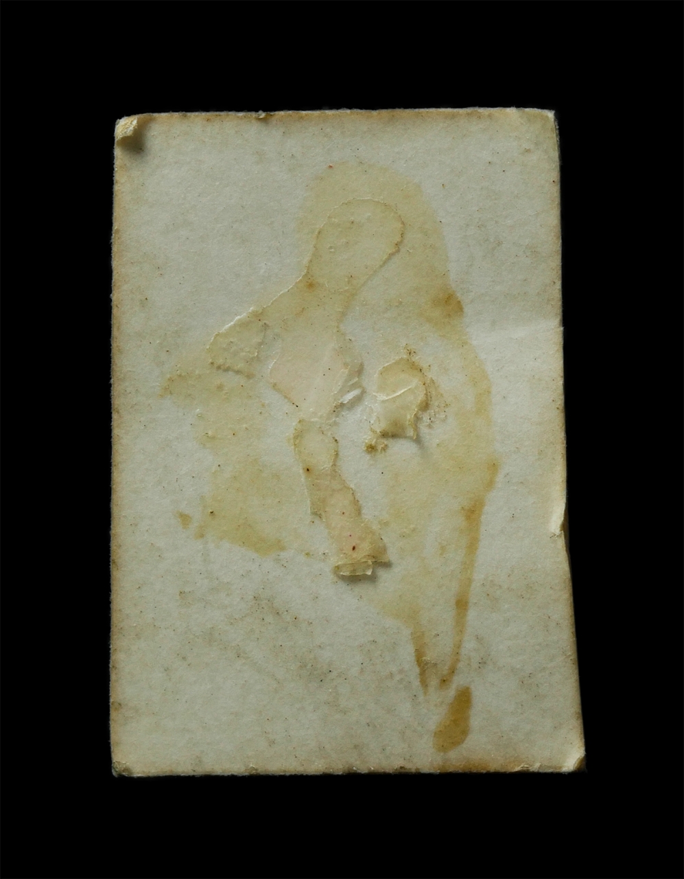 2569-01-25 (135)p.jpg - รูปพระอาจารย์เปลี่ยน ปัญญาปทีโป วัดอรัญญวิเวก (วัดบ้านปง) ต.อินทขิล อ.แม่แตง จ.เชียงใหม่ อายุวัฒนมงคล 55 ปี พ.ศ.2531 รูปเก่าสวย น่าเก็บสะสมบูชา | https://kamulet.in.th